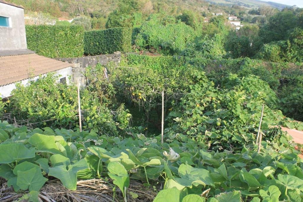 Ferienwohnung Quinta Do Areeiro Horta  Exterior foto